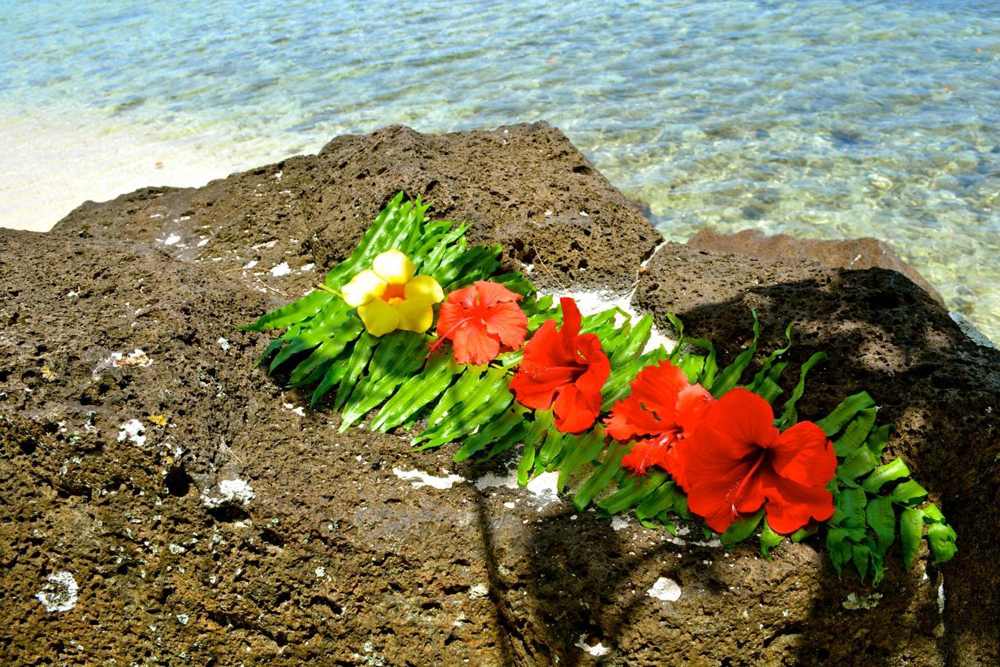 Te Ora Hau Ecolodge Afareaitu Oda fotoğraf