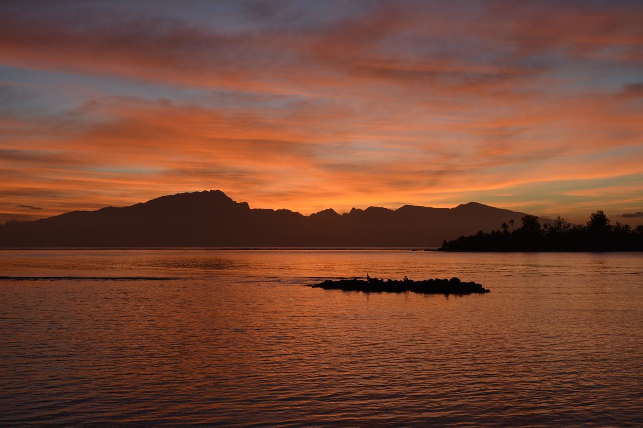 Te Ora Hau Ecolodge Afareaitu Dış mekan fotoğraf